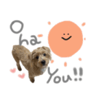 ウェスプーの花ちゃん（個別スタンプ：1）