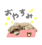ウェスプーの花ちゃん（個別スタンプ：2）