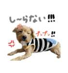 ウェスプーの花ちゃん（個別スタンプ：8）
