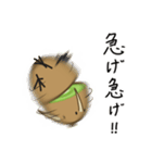 ふるーつきーうぃ（個別スタンプ：17）