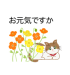 猫と花いっぱい春の日常（個別スタンプ：8）