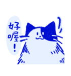 あおねこの日常 - 文字あり（個別スタンプ：13）