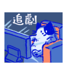 あおねこの日常 - 文字あり（個別スタンプ：34）