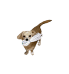ころも さくさく (1さい)（個別スタンプ：17）