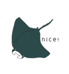 海洋生物がすき（個別スタンプ：16）