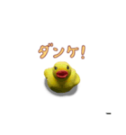 粘土×アヒル（個別スタンプ：3）
