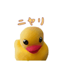 粘土×アヒル（個別スタンプ：8）