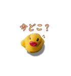 粘土×アヒル（個別スタンプ：17）