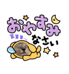 まゆことうしお、ときどきぽる。（個別スタンプ：3）