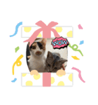 まゆことうしお、ときどきぽる。（個別スタンプ：6）