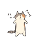 ねこといっしょ【日常】（個別スタンプ：12）