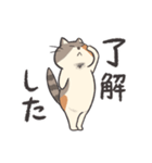 ねこといっしょ【日常】（個別スタンプ：13）