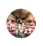 日常で使えそうな陽（はる）スタンプ（個別スタンプ：4）