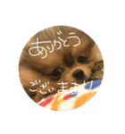 日常で使えそうな陽（はる）スタンプ（個別スタンプ：5）