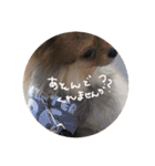 日常で使えそうな陽（はる）スタンプ（個別スタンプ：10）