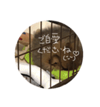 日常で使えそうな陽（はる）スタンプ（個別スタンプ：18）