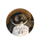 日常で使えそうな陽（はる）スタンプ（個別スタンプ：21）