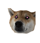 きつねよりの犬（個別スタンプ：12）