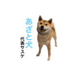 きつねよりの犬（個別スタンプ：36）