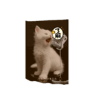 猫と雪だるまと友達になろうとしてる猫（個別スタンプ：5）