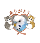 もふアニマル（個別スタンプ：3）