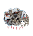 もふアニマル（個別スタンプ：4）