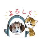 もふアニマル（個別スタンプ：7）