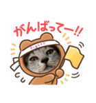 まゆことうしお、ときどきぽるがいます。（個別スタンプ：1）