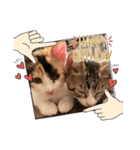 まゆことうしお、ときどきぽるがいます。（個別スタンプ：7）