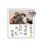 まゆことうしお、ときどきぽるがいます。（個別スタンプ：10）