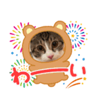 まゆことうしお、ときどきぽるがいます。（個別スタンプ：14）