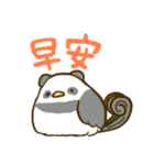 大人可愛い鳥パンダの毎日スタンプ 台湾語（個別スタンプ：1）
