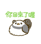 大人可愛い鳥パンダの毎日スタンプ 台湾語（個別スタンプ：19）