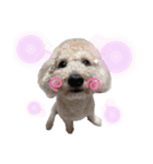 ウピの日常（個別スタンプ：3）