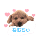 ウピの日常（個別スタンプ：8）