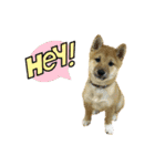 ☆風和☆（個別スタンプ：3）