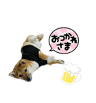 ☆風和☆（個別スタンプ：6）