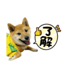 ☆風和☆（個別スタンプ：7）