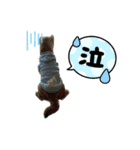 ☆風和☆（個別スタンプ：14）