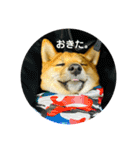 ☆風和☆（個別スタンプ：31）
