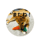 ☆風和☆（個別スタンプ：32）