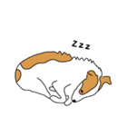 おかかさん達（個別スタンプ：11）