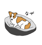 おかかさん達（個別スタンプ：27）