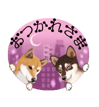 【柴犬 Ⅱ】動く！ペットたち（個別スタンプ：2）