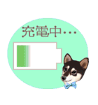 【柴犬 Ⅱ】動く！ペットたち（個別スタンプ：11）