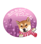 【柴犬 Ⅱ】動く！ペットたち（個別スタンプ：13）