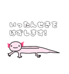 ウーパールーパーの優しいスタンプ（個別スタンプ：11）