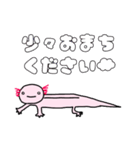 ウーパールーパーの優しいスタンプ（個別スタンプ：12）