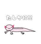 ウーパールーパーの優しいスタンプ（個別スタンプ：14）