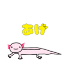 ウーパールーパーの優しいスタンプ（個別スタンプ：16）